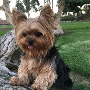 Meet your Posher, Camlynn